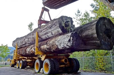 Logging Equipment & Supplies